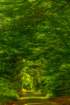 wiosna24_small.jpg