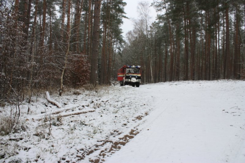 a13.jpg