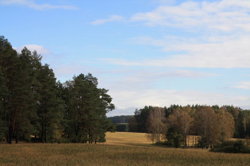 img_7698.jpg