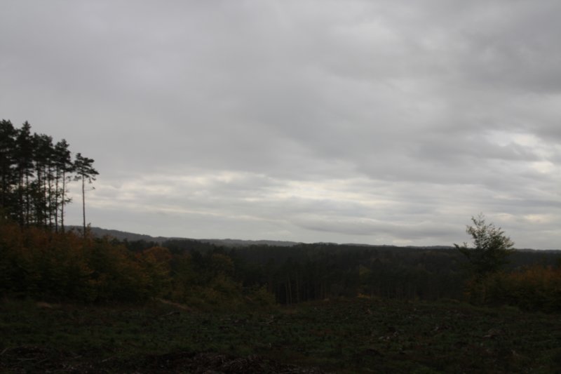 img_7880.jpg
