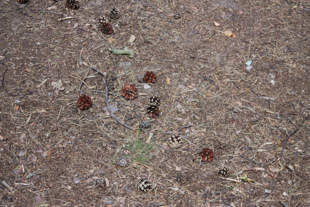 photo8.jpg
