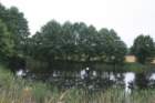 img_8599_small.jpg