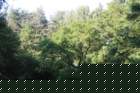 img_8621_small.jpg