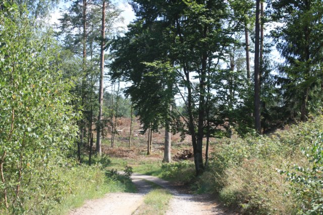 img_8940.jpg