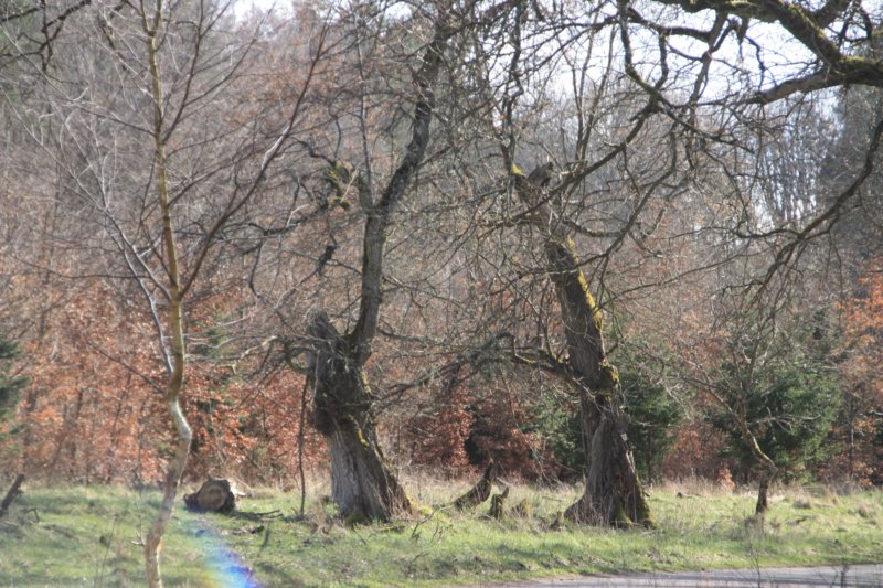 photo13.jpg