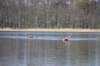 photo25_small.jpg