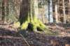 photo70_small.jpg