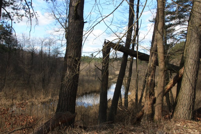 photo8.jpg
