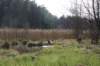 photo88_small.jpg