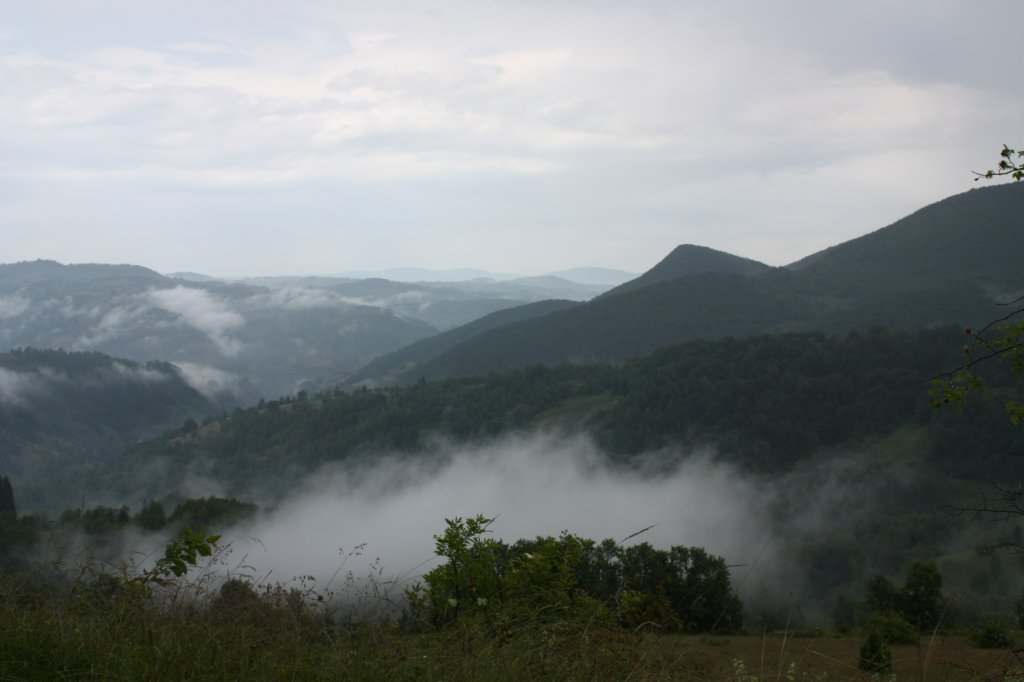 photo18.jpg