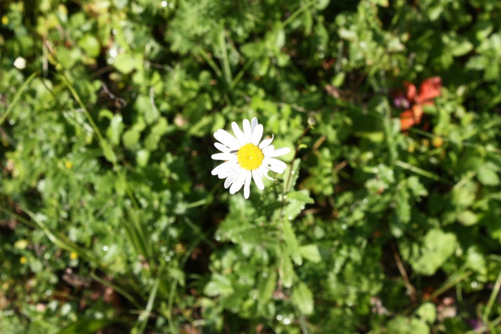 photo24.jpg