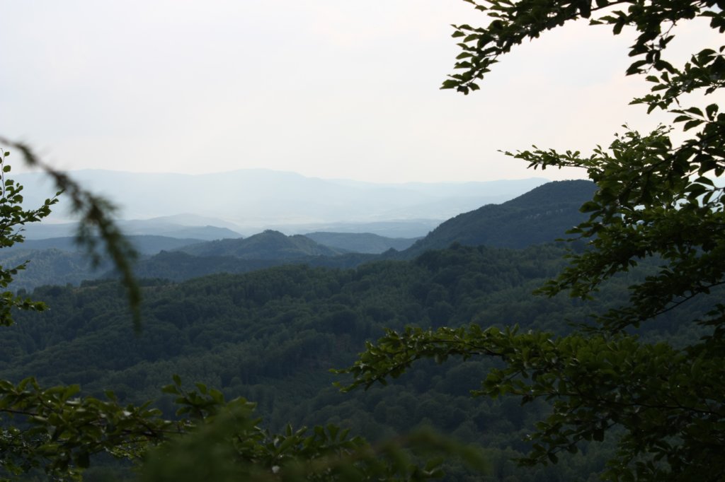photo28.jpg