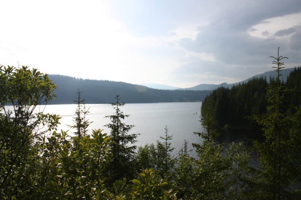 photo44.jpg