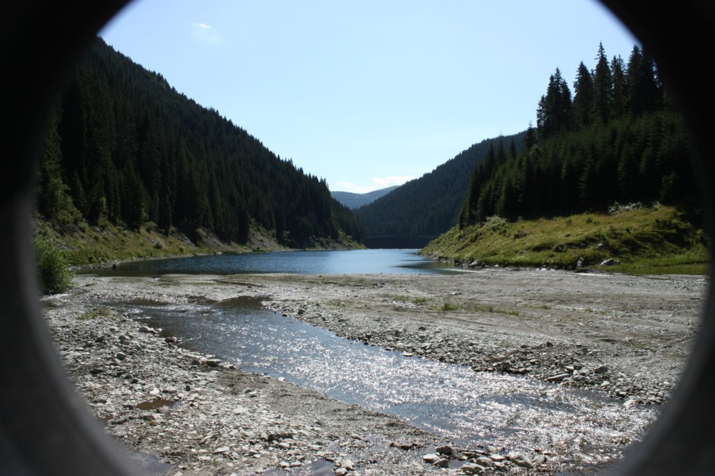 p37.jpg