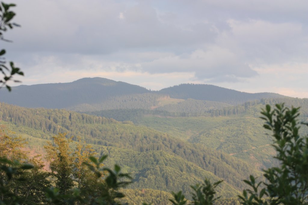 r37.jpg