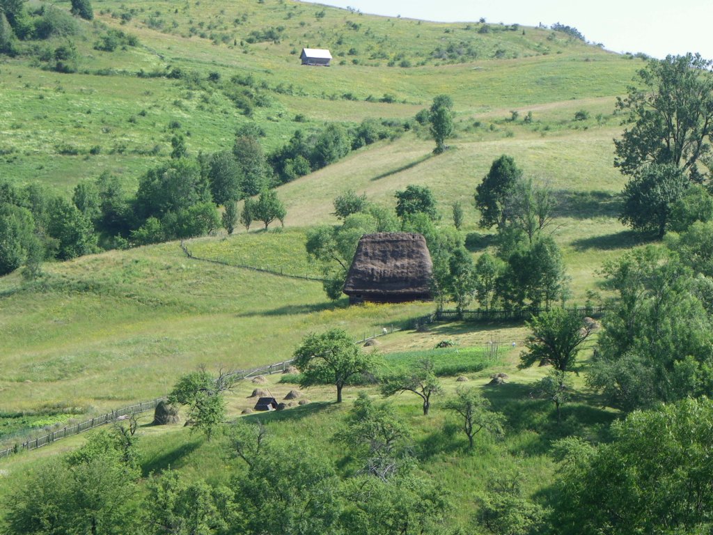 r47.jpg