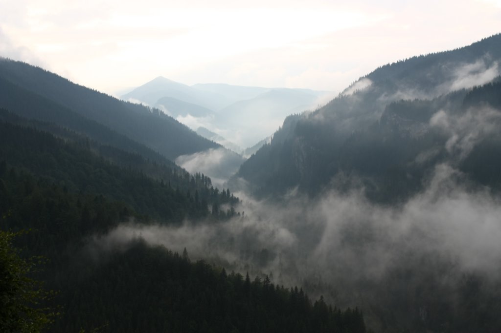 photo17.jpg