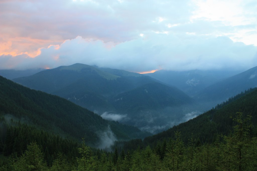 photo20.jpg