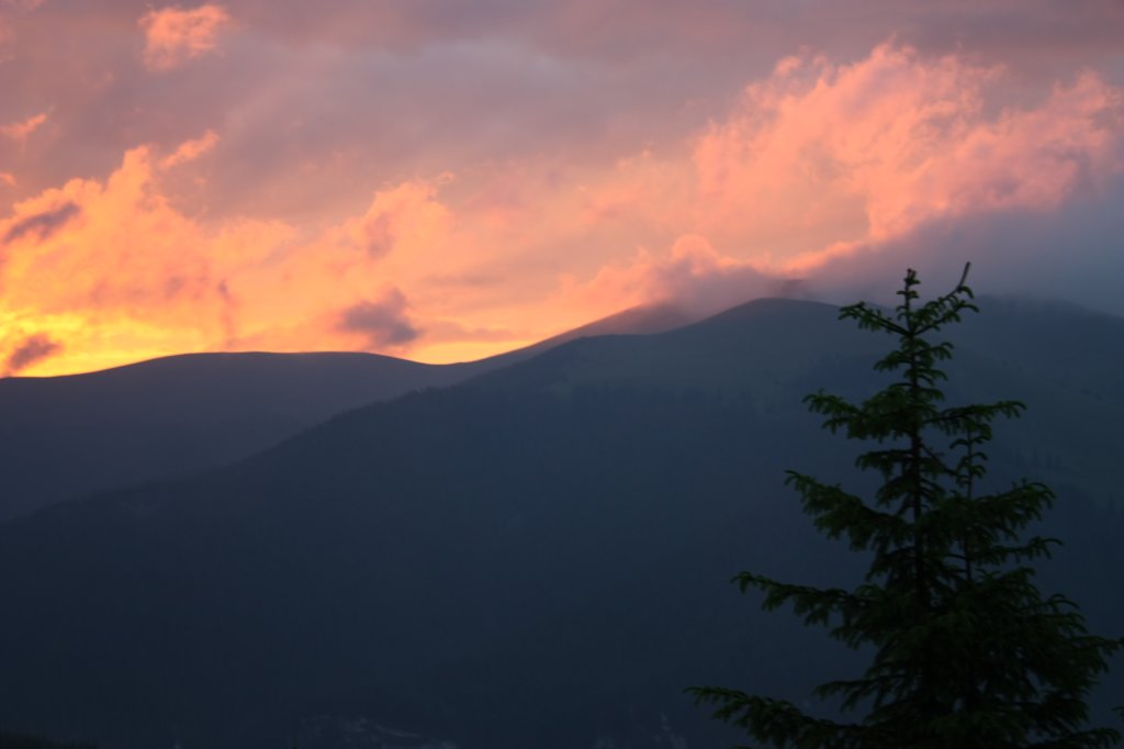 photo22.jpg