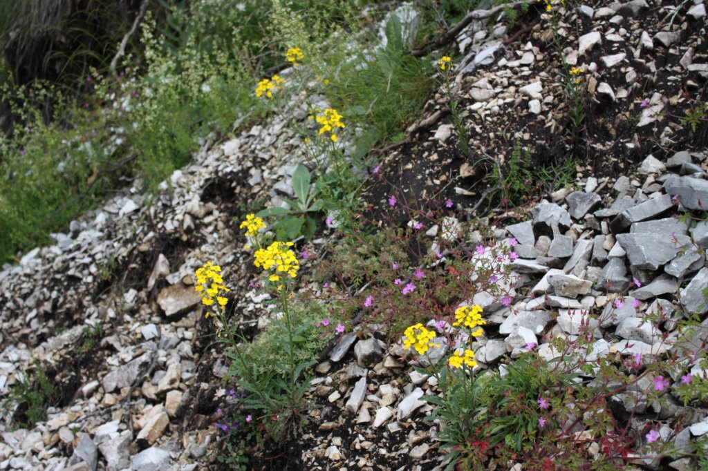 photo32.jpg