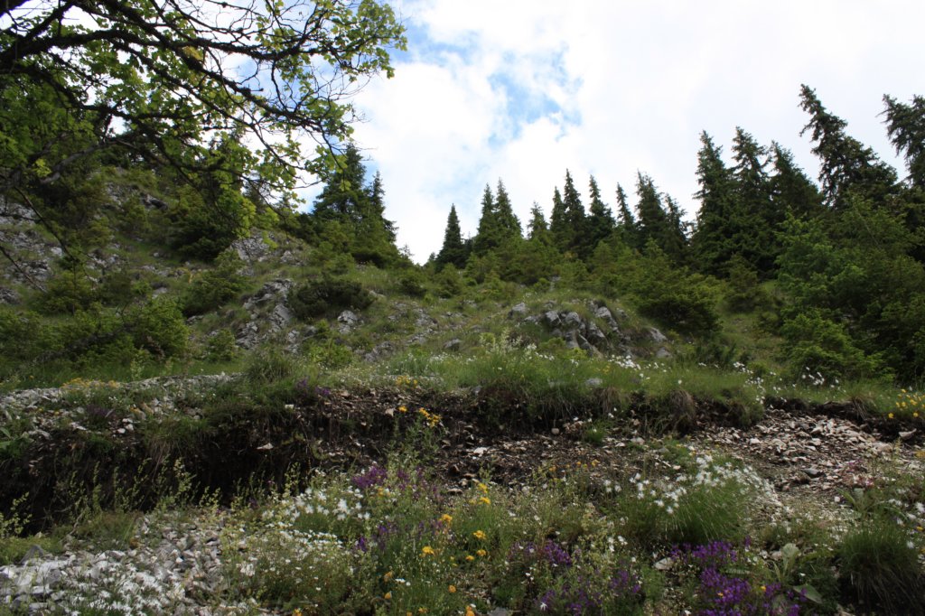 photo34.jpg