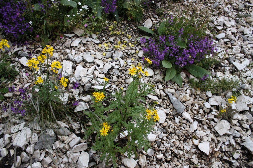 photo35.jpg