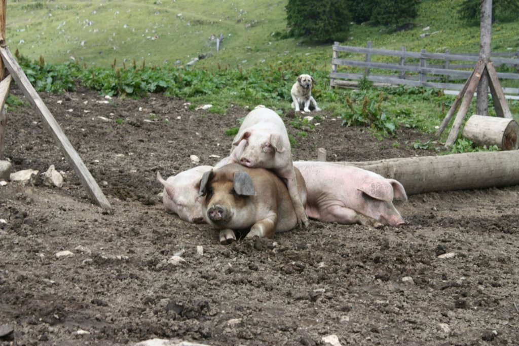 photo40.jpg