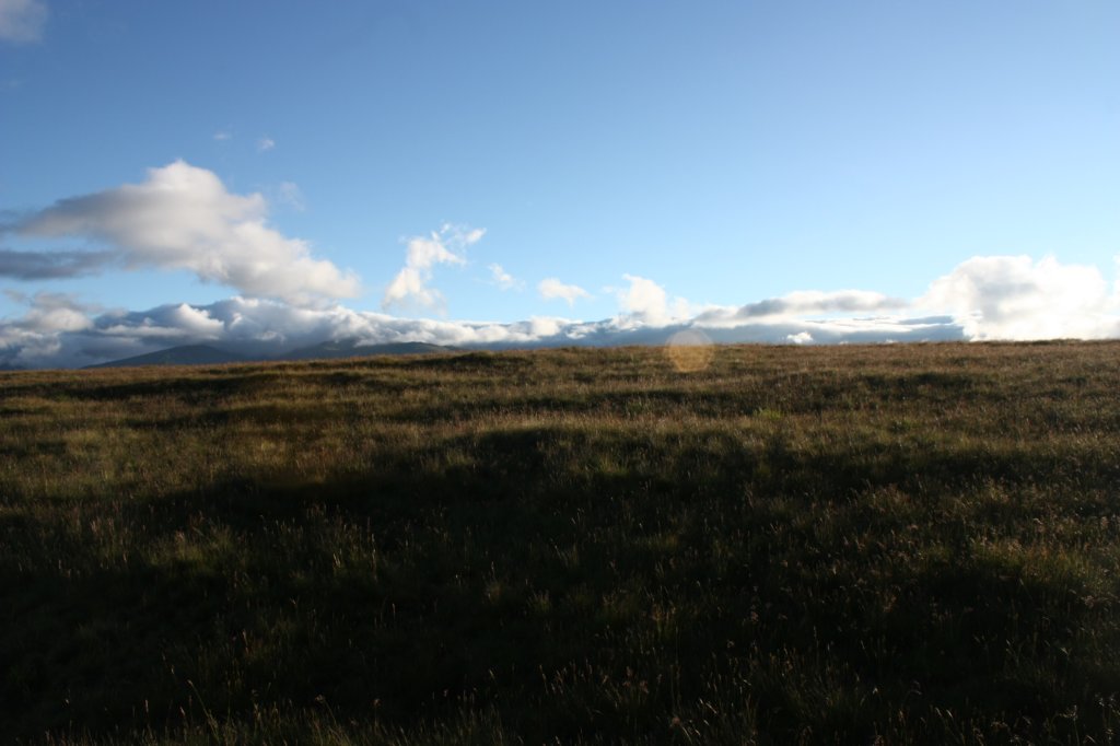 photo36.jpg