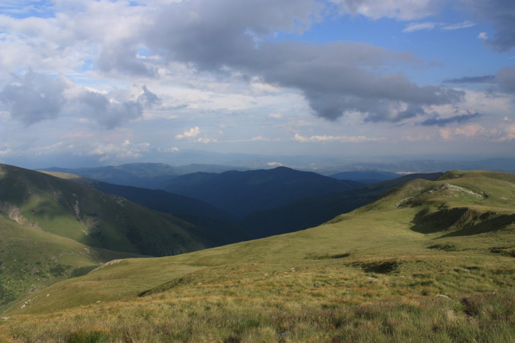 img_1398.jpg