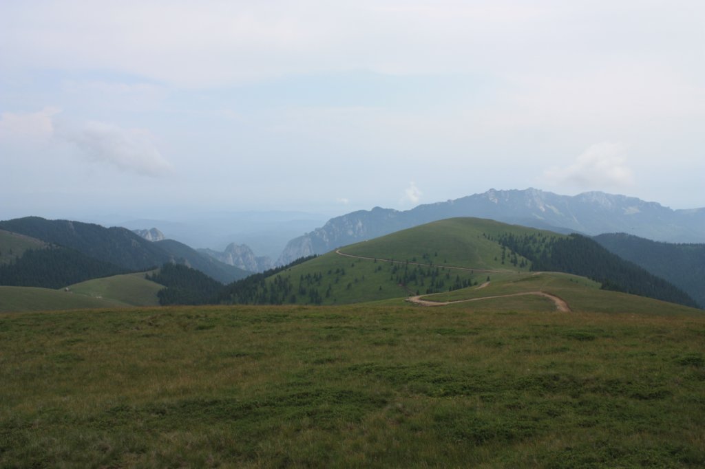 img_1866.jpg