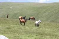 img_1973_small.jpg